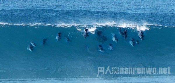 有问必答平台-为什么印度尼西亚不是世界上最大的椰子出口国?-解答您的疑问